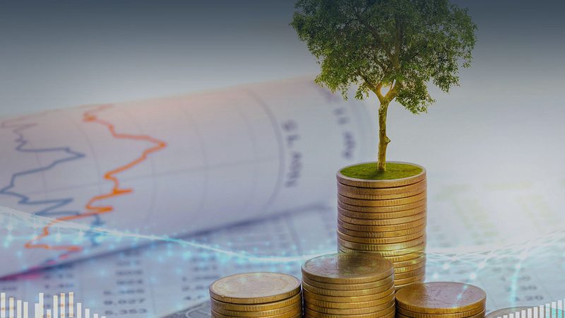 集团管控咨询，如何科学高效地推进？**